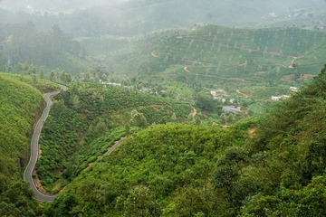 DSC03358-1