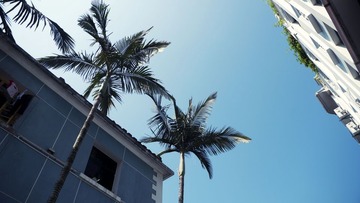 P1030654