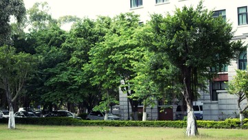 P1030731