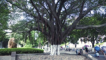 P1030734