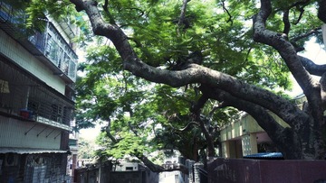 P1040019