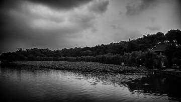 P1010401_HDR.jpg