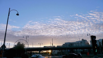 P1000862