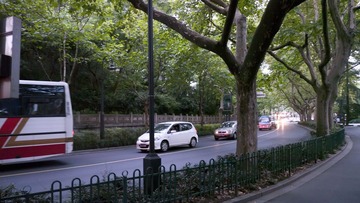 P1010378