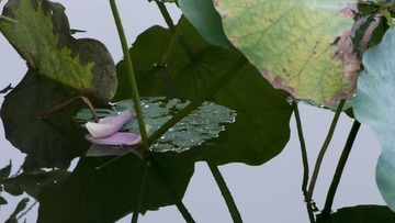 P1010461