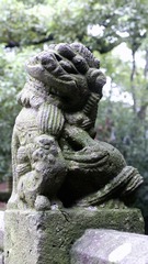 P1010714