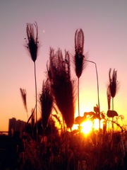 C360_2011-09-17 17-59-58_副本.jpg