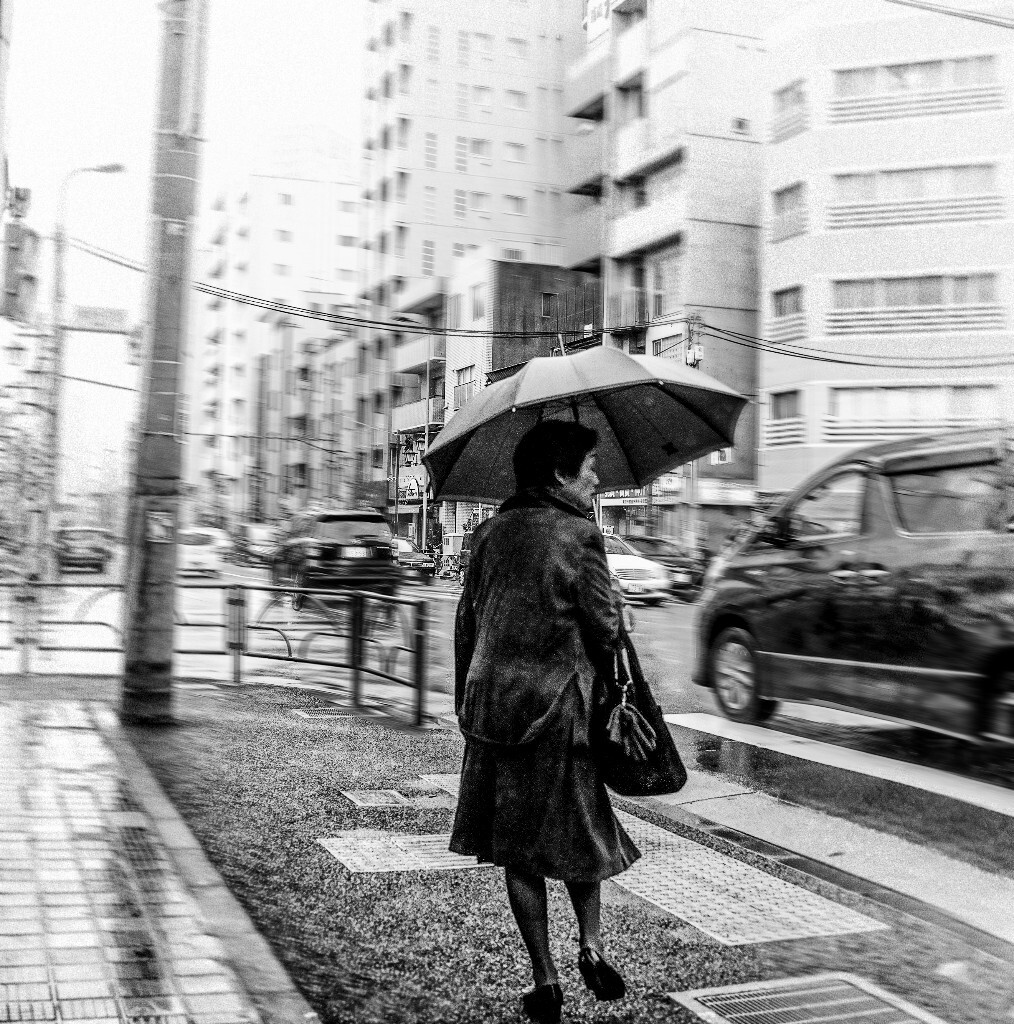 __DSC6489