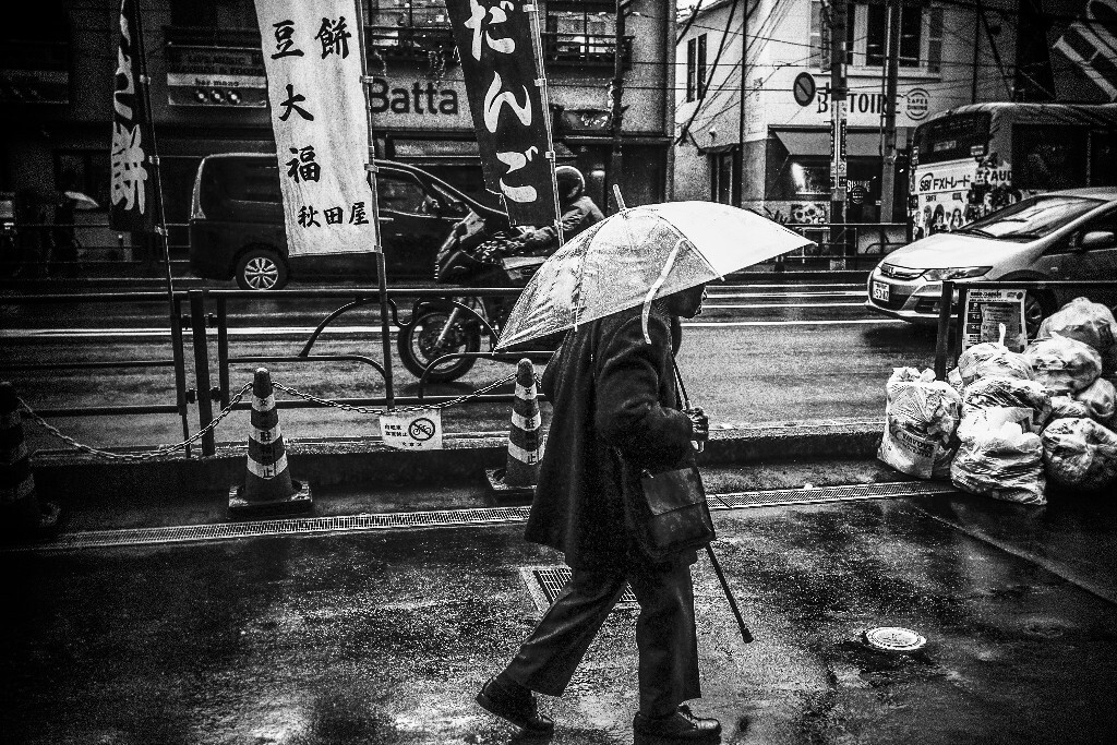 __DSC6481