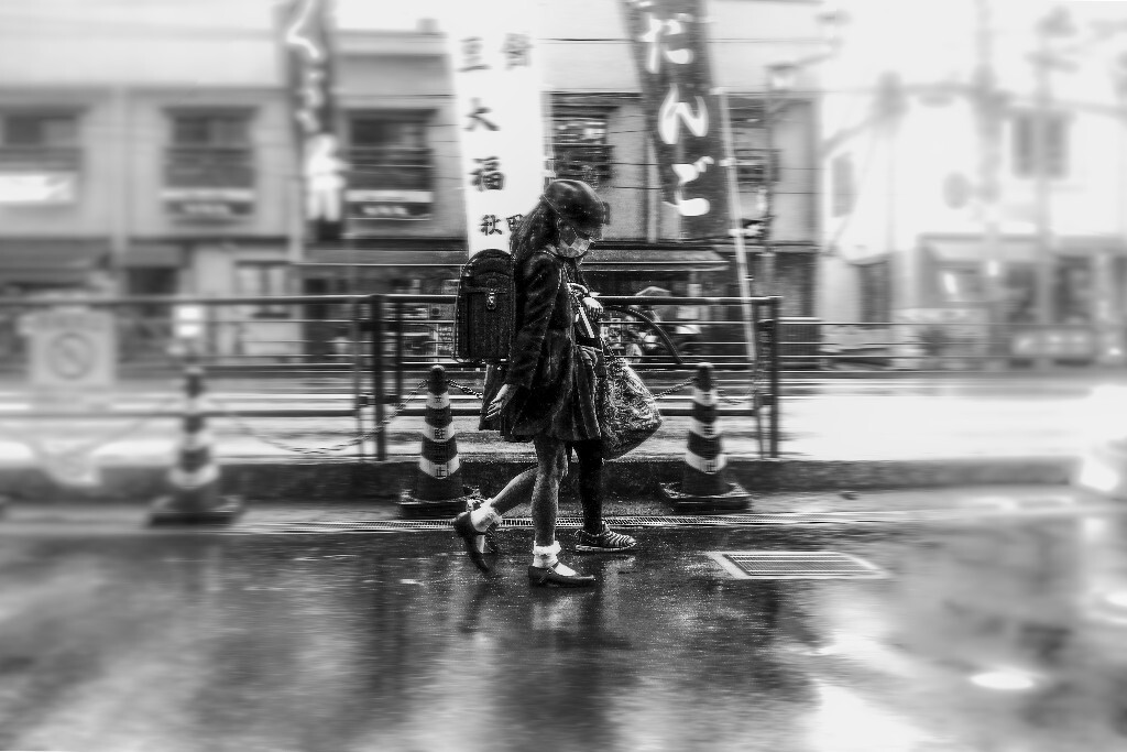 __DSC6483