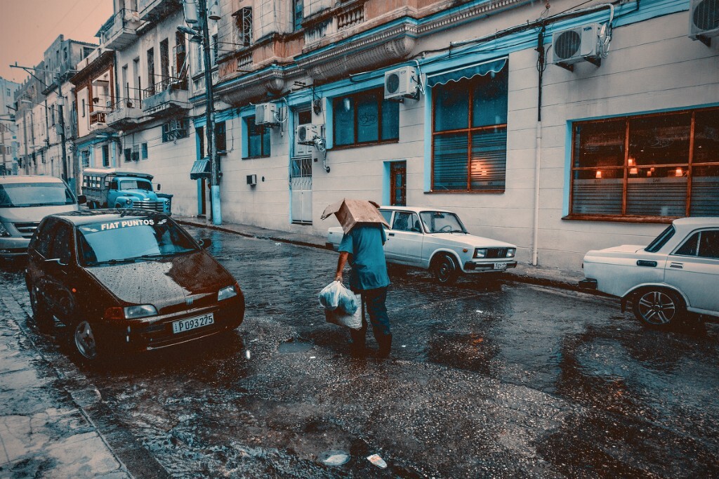 ___ DSC06058.JPG