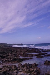 dsc03739_副本.jpg