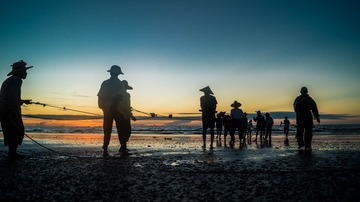 _DSC2410