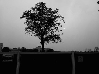 2012-05-19 18.27.51.jpg