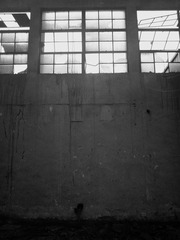2012-05-19 18.48.56.jpg