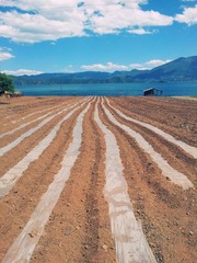 2012-05-01 15.09.09.jpg