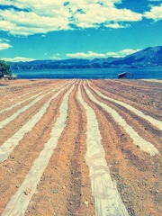 2012-05-01 15.09.jpg