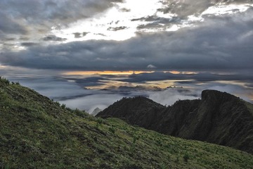 DSC_7265.jpg