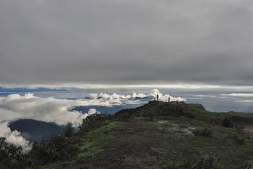 DSC_7375.jpg