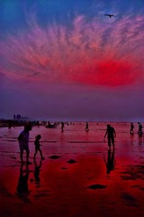 DSC_8094.jpg