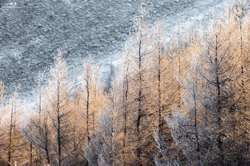 _DSC8750-编辑