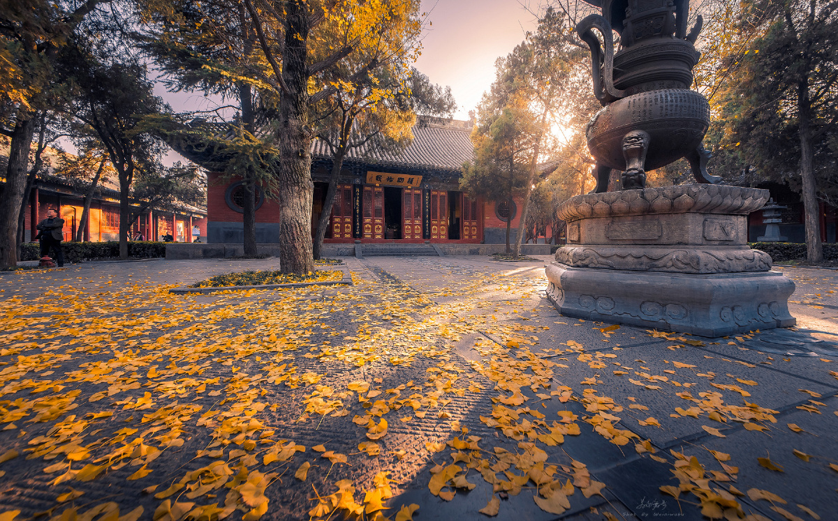 洛阳GDP不发力_洛阳牡丹