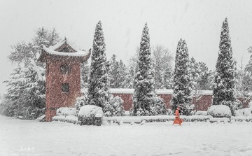 古刹飞雪