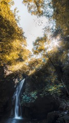 深林飞瀑
