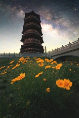 古塔之夜