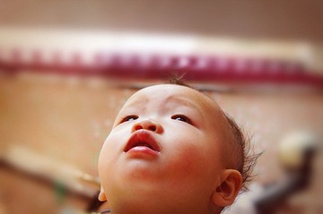 dsc01950_副本g.jpg