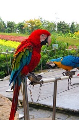 dsc03157_副本.jpg
