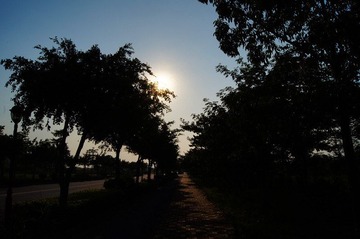 DSC02400_副本.jpg