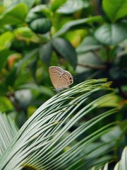 DSC01459_副本.jpg
