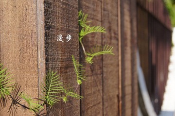 dsc00586_副本.jpg