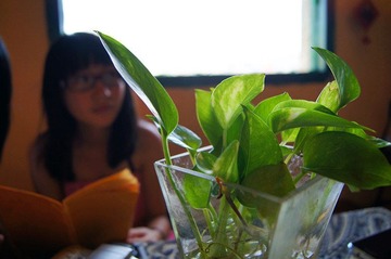 dsc00828_副本.jpg