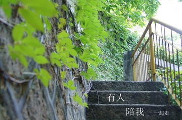 DSC00866_副本.jpg