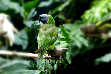 DSC03159_副本.jpg