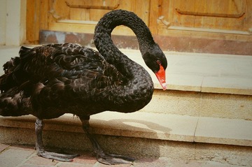 dsc03199_副本h.jpg