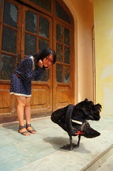dsc03203_副本.jpg