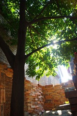dsc06604_副本.jpg
