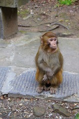 dsc07525_副本.jpg