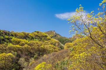 DSC_4839小