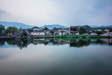 DSC_8632 .....