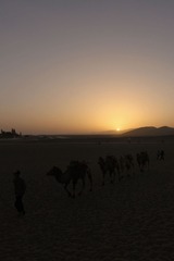 IMG_6625_