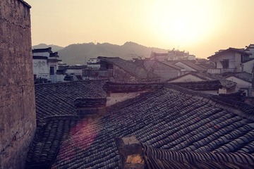 _MG_8202.jpg