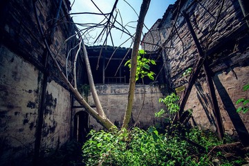 _MG_8262.jpg
