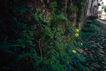 _MG_8268.jpg