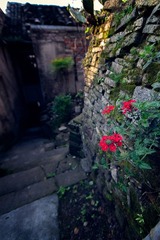 _MG_8314.jpg