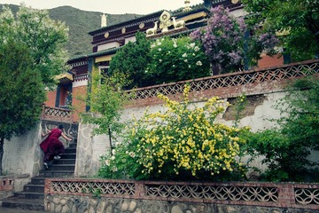 _MG_9815_德尔隆寺一角.jpg