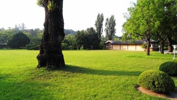 R0010877.jpg